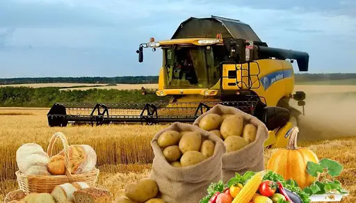 Агроиндустриалды аймақ құрылады