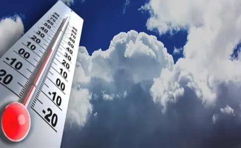 Синоптиктердің орнын басу мүмкін емес