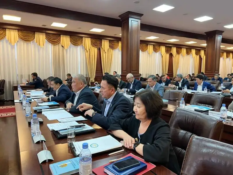 Бірлескен отырыста біраз мәселе қамтылды