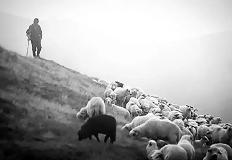 Түнгі жол (Әңгіме)