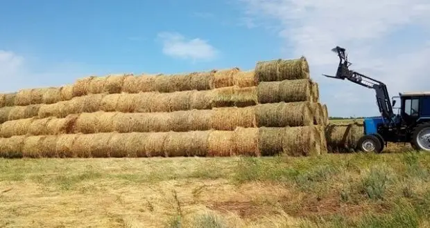 Мал азығымен қамтудың қамына кірісті