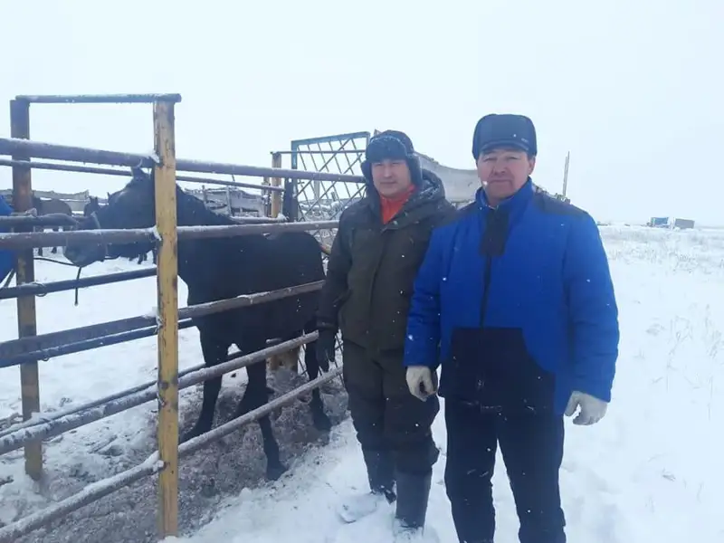 Кәсіпкер командаға ат сыйлады