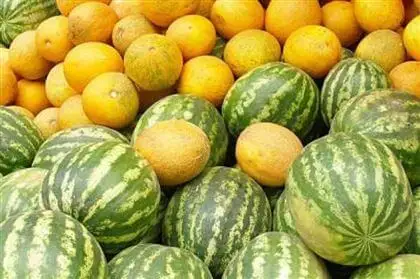 Қазақстанның қауын-қарбыздары шетелге жөнелтілді