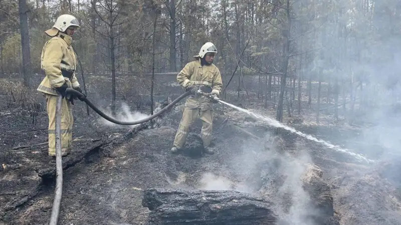 Абай облысындағы Талица ауылы маңындағы өрт сөндірілді - ТЖМ