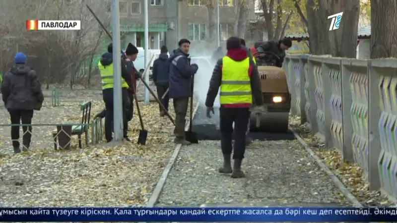 Жапырақтың үстіне жол салғандар тағы таңғалдырды