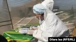 Жуалылық мейіргер басшысы карантин үстемақысын қайтаруды талап еткенін айтып Тоқаевқа жүгінді