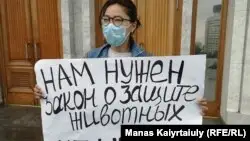 Алматы тұрғыны жануарларды қорғайтын заң қабылдауды талап етіп, пикетке шықты