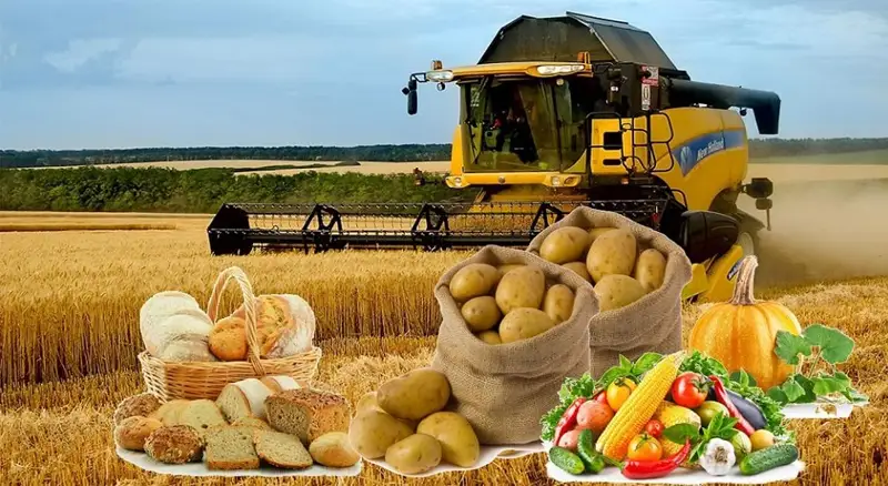 Халықты асырайтын ауыл болады, үкімет мұны қашан сезінеді?!