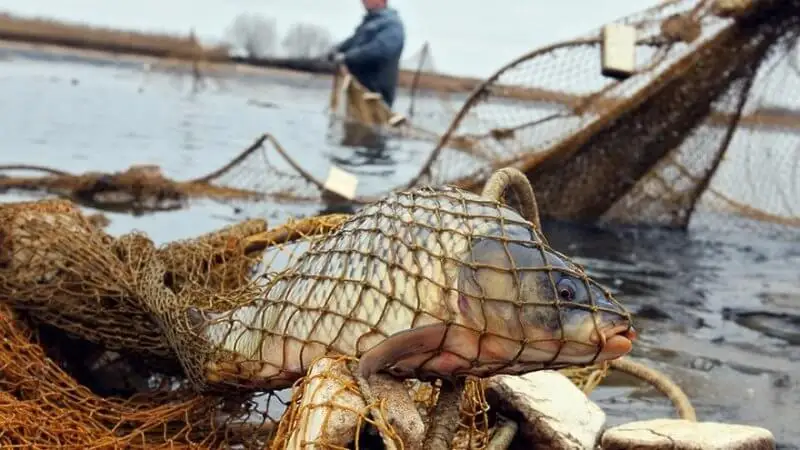 Шекарашылар браконьерліктің жолын кесті