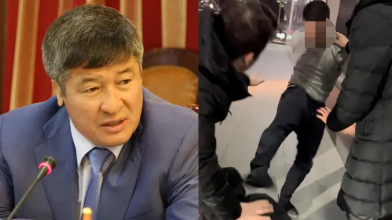 Әскери прокуратура Дәулет Тұрлыхановтың ұлымен болған оқиғаға қатысты пікір білдірді