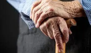 «Жаңа Қазақстанға» таяққа сүйеніп бармақпыз...