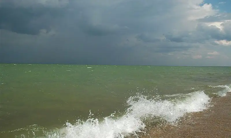 Байланған және жұлдыру трах Шахзодамен секс видео