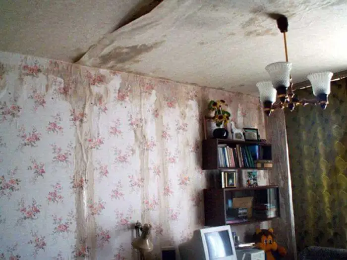 Көпбалалы отбасылар лашық үйге лайық па?