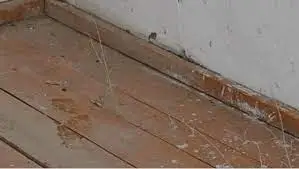 Үй ме, үйшік пе, қоныс аударушыларға берілген үйлер адам тұрғысыз