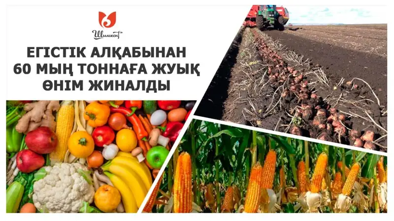 Агробағдарламалардан нәтиже бар