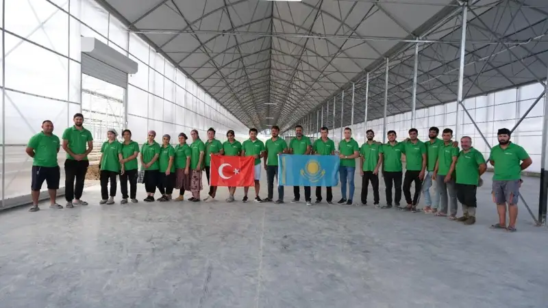 Қазақстанда алғаш рет банан өсіріле бастады