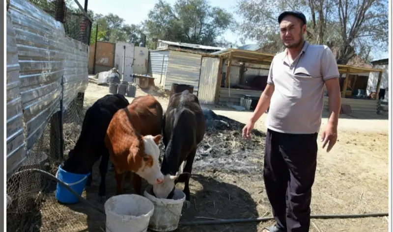 Ұлттық экспорттаушылар легі қалыптасты ма?