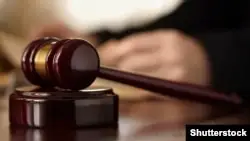 Алматыда кинология орталығы басшылары пара алған деген күдікпен ұсталған