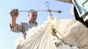 Мақта бағасы мың құбылып