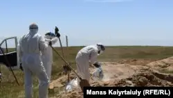 Алматы облысында вирус жұқтырғандар зиратына жерлендер көбейді, ал ресми мәлімет өзгермеген