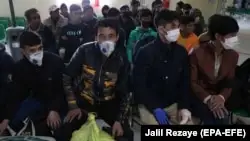 Ауғанстанда халықтың үштен бірі коронавирус жұқтырған болуы мүмкін