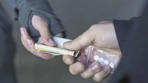 Ел тарихындағы ең ірі есірткі зертханасы жойылды