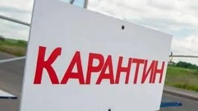 Қазақстанда карантин ережелері бекітілуі мүмкін