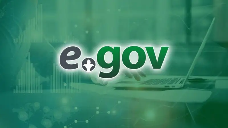 EGov-та 10 сотық жерге өтінім неге қабылданбауы мүмкін