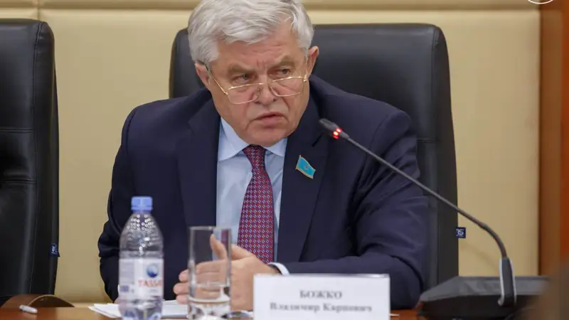 Владимир Божко Парламент Мәжілісі Төрағасының орынбасары қызметінен кететінін айтты