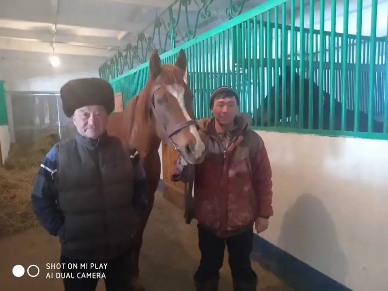 Ұлттық ат бәйгесін ас беру деңгейінде ғана қарастыруға болмайды