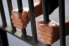 Алматыда қаржы пирамидаларының 4 ұйымдастырушысы сотталды