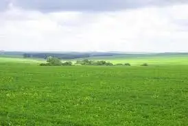 Жер тұяқсыз, мал иесіз болмауы керек