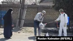 Қырғызстанда коронавирус жұқтырғандар саны 12-ге жетті