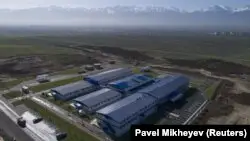 ДСМ: Қазақстанда пневмонияға шалдыққан, ПТР нәтижесі теріс 28 мың адам ауруханада емделіп жатыр