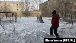 Теміртаудағы қара қар һәм &amp;quot;экоцид&amp;quot; жайлы мәлімдеме