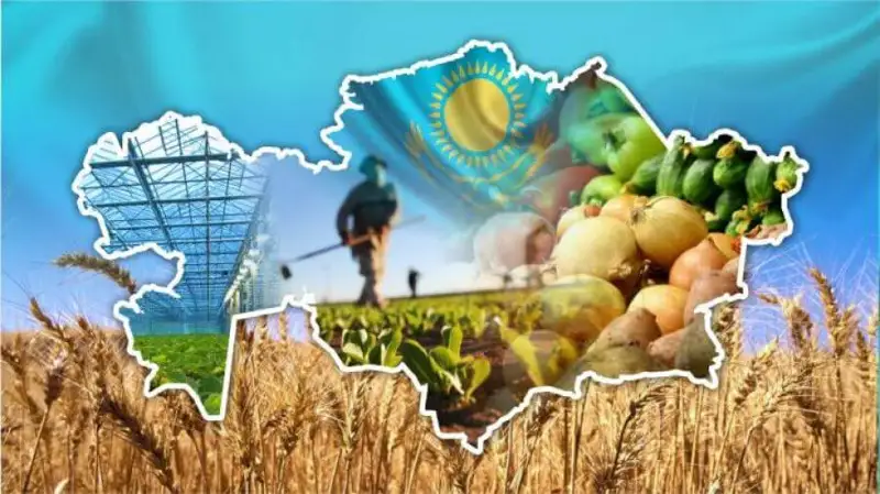 Ауыл тұрғындарының ұлттық жобадан үміті зор