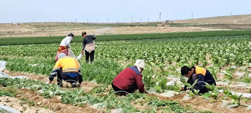 Еңбек етемін деген адамға жұмыс көп