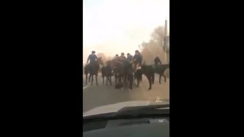 Карантин кезінде сүндет той жасап, көкпар бергендер ұсталды