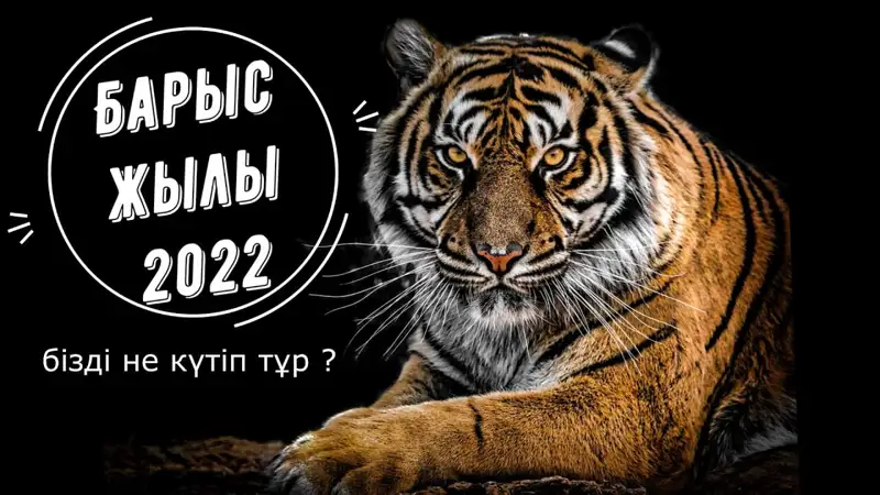 2022 жыл: Халыққа тағы тапқанын үнемдеу керек бола ма?