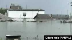 Мақтаралда тағы бір ауылды су басты. Ауданда 31 мыңнан аса адам эвакуацияланды