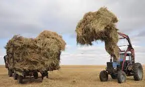 Мал азығын жеткізудің машақаты көп