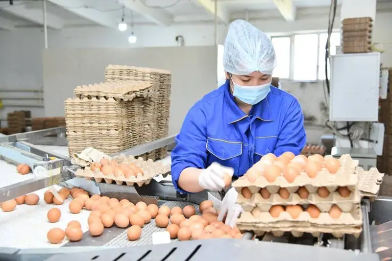 Мегаполисте ауыл шаруашылығы өнімдері көбейген
