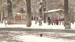 Тоқаев өзгерткен &amp;quot;Зорлық-зомбылық&amp;quot; заңына көңілі толмайтындар көп