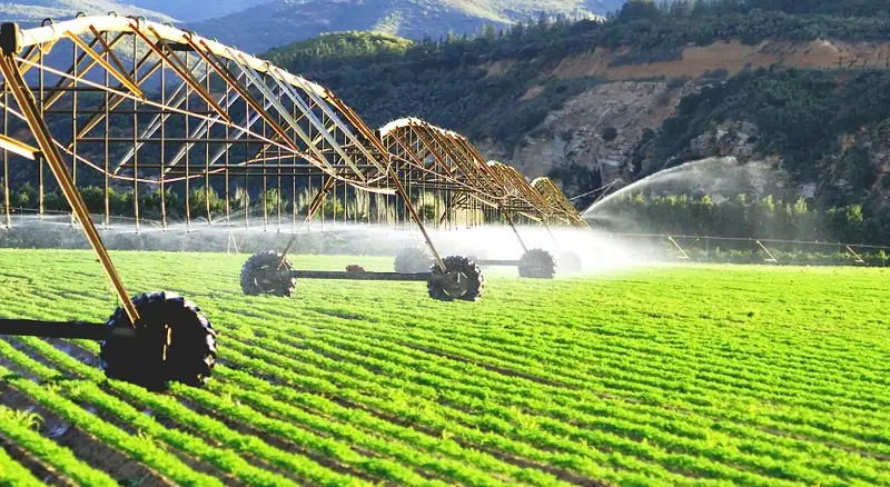 Агроөнеркәсіпті заман талабына сай дамыта аламыз ба?