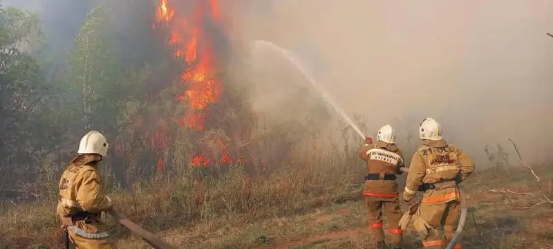 Абай облысындағы орман өрті: төтенше жағдай жарияланады