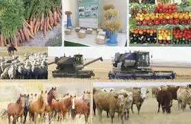 Алматы облысы ауыл шаруашылығының дамуына жаңа серпін берді