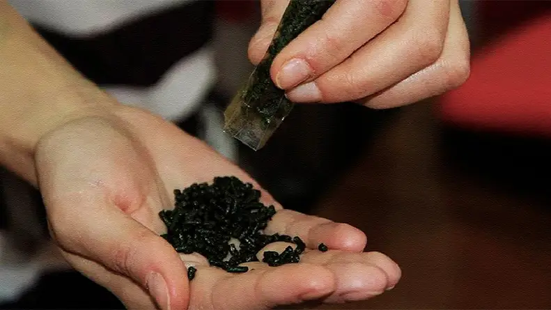 насыбай ату