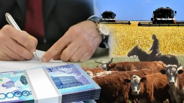 субсидия