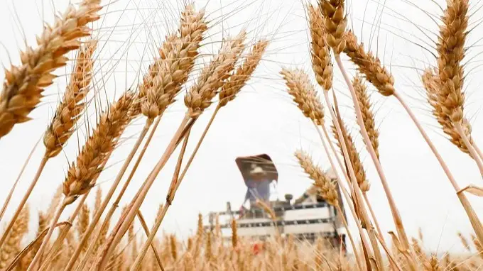 ауыл шаруашылығы 