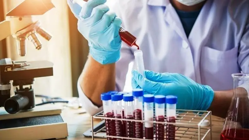 қорғасын тексеру